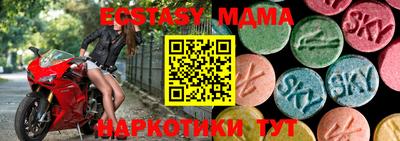 стафф Кингисепп
