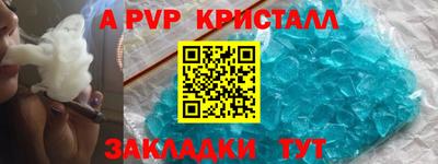 стафф Кингисепп