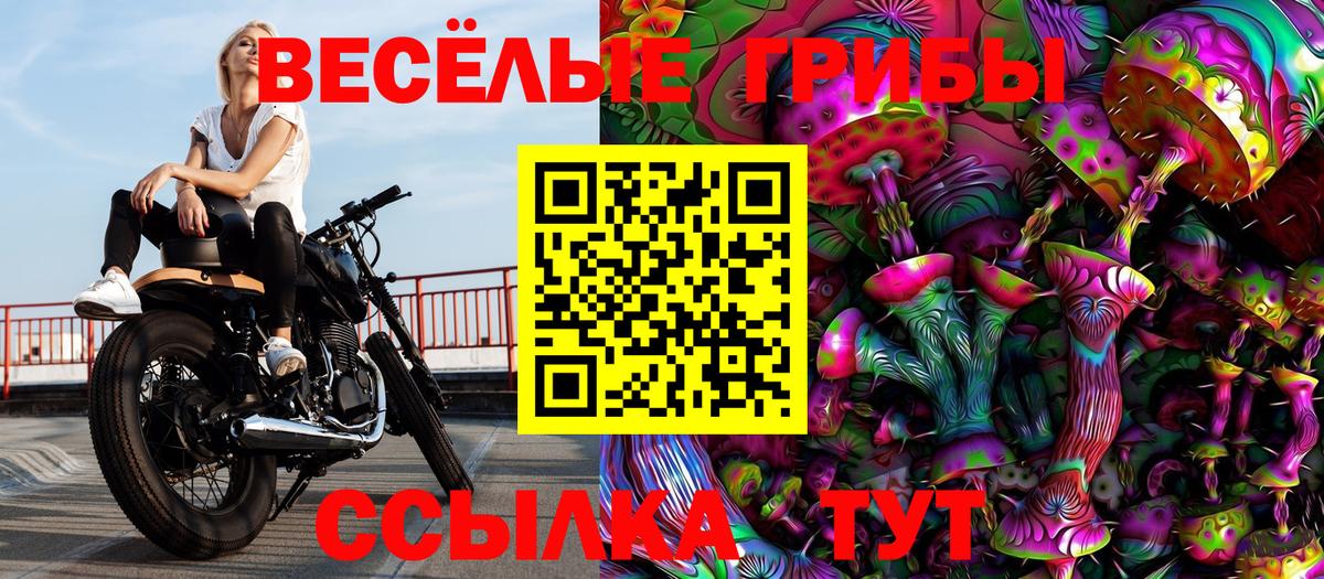 Псилоцибиновые грибы Magic Shrooms Усолье-Сибирское
