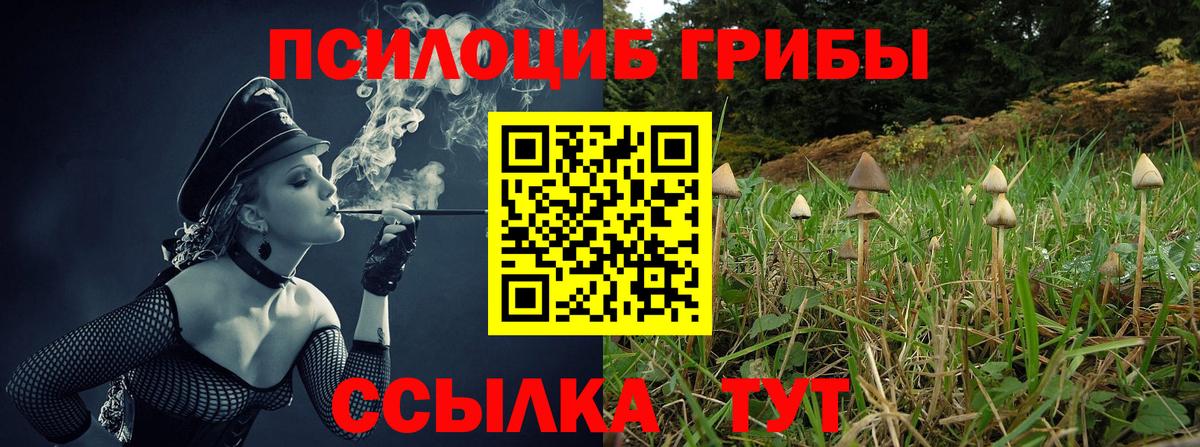 Псилоцибиновые грибы Psilocybe  Вход с VPN  Усолье-Сибирское 